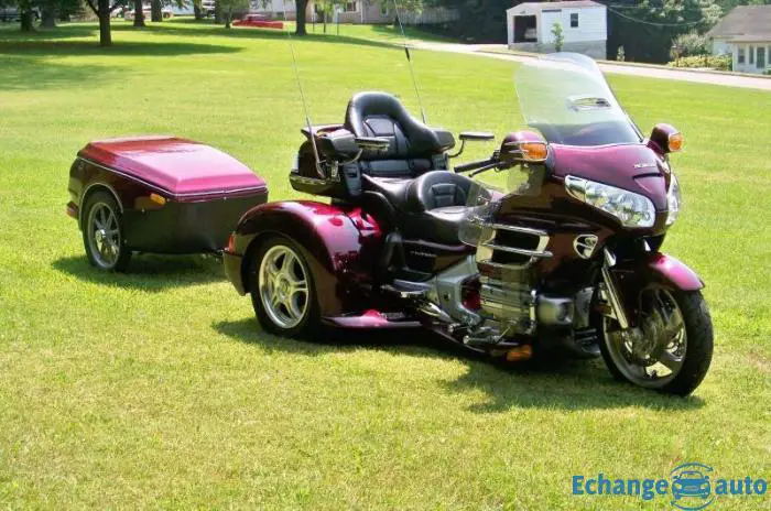 Honda Gl 1800 Goldwing Trike champion 2006