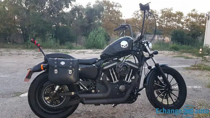 Harley davidson sportster