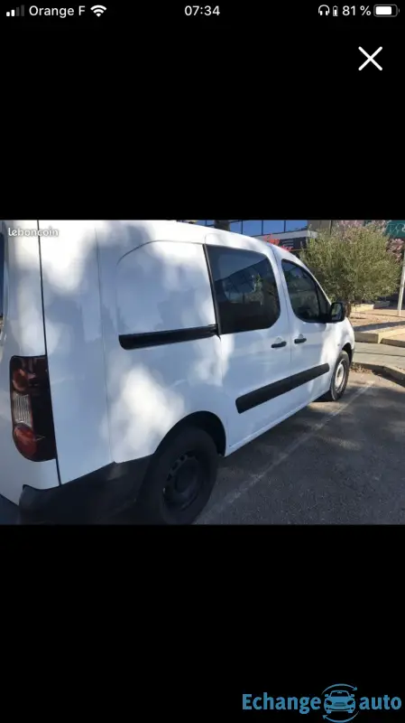 Citroen berlingo business