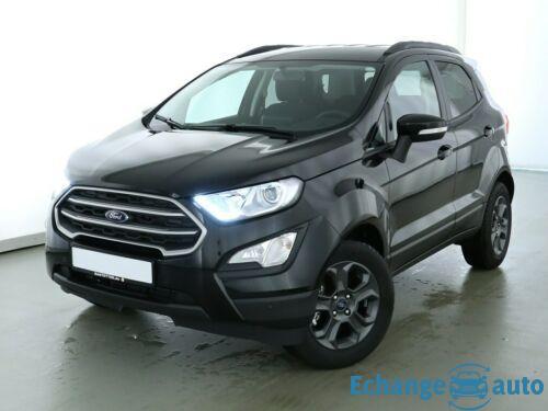 Ford Ecosport Business