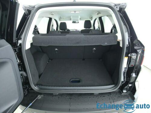 Ford Ecosport Business