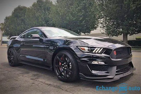 Ford Mustang Shelby gt350r