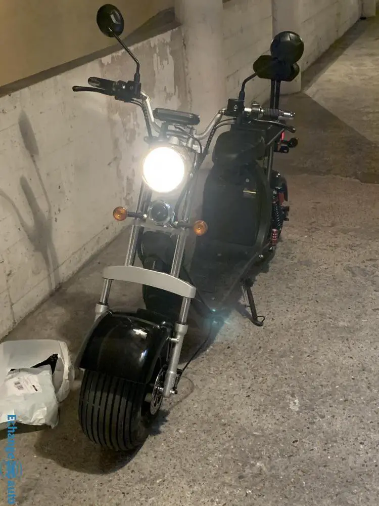 Scooter Citycoco