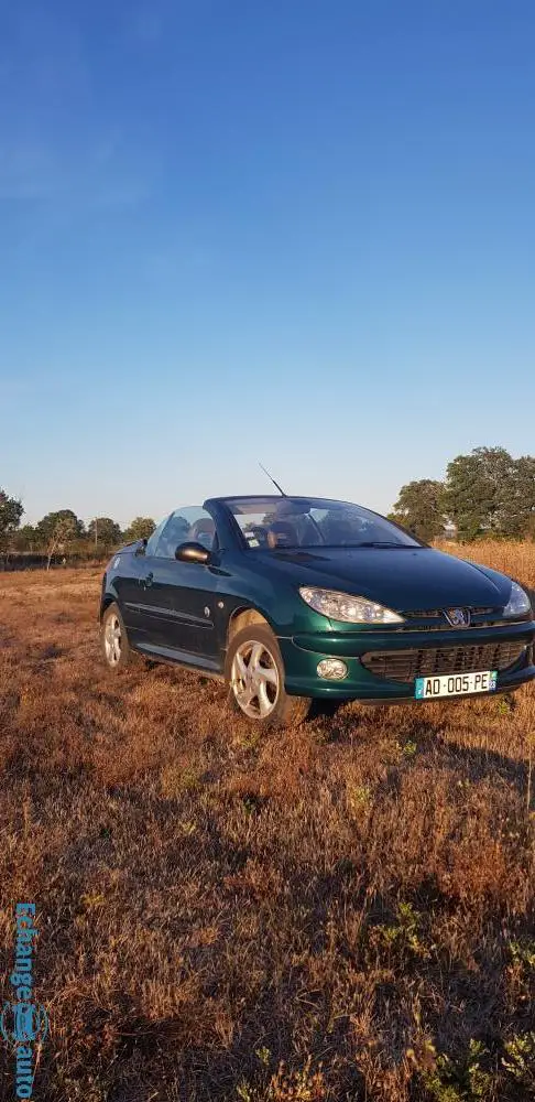 Peugeot 206 cc Roland Garros Cabriolet