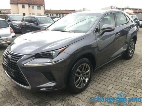 Lexus NX 300 h Hybrid AWD Business