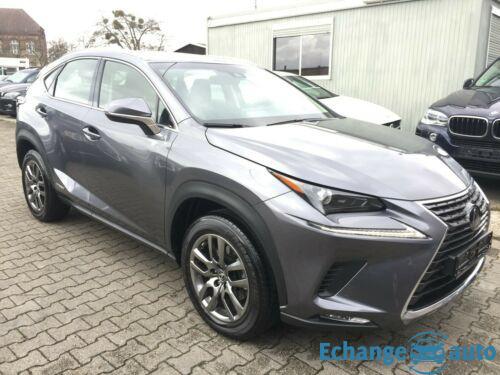 Lexus NX 300 h Hybrid AWD Business