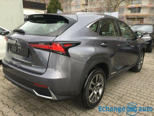 Lexus NX 300 h Hybrid AWD Business