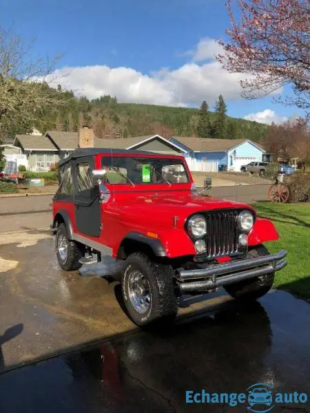 Jeep CJ 258 cu. in.i6 1979 prix tout compris