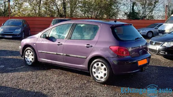 Peugeot 307 1.6 i 16V 7CV 110CH Bon état