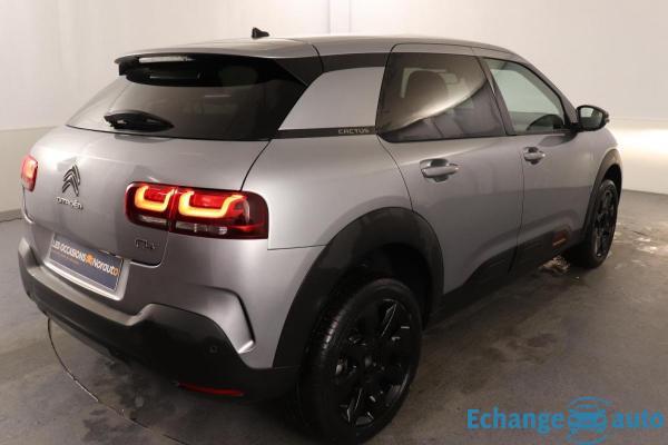 Citroën C4 Cactus BlueHDi 120 S&S EAT6 Shine