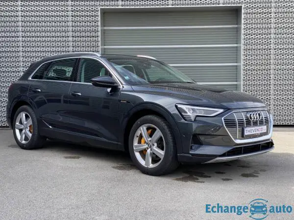 Audi E-TRON 50 quattro 313 ch Avus