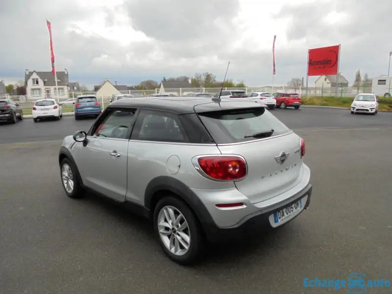 MINI PACEMAN