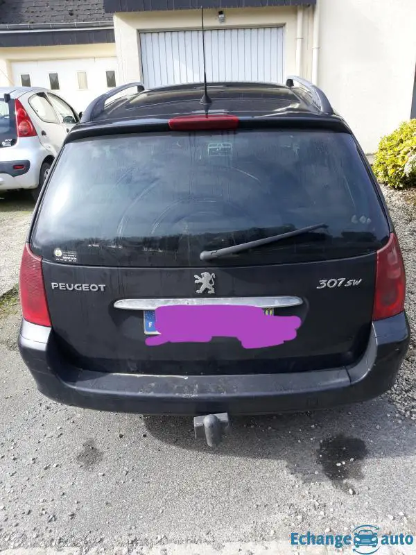 Peugeot 307 sw