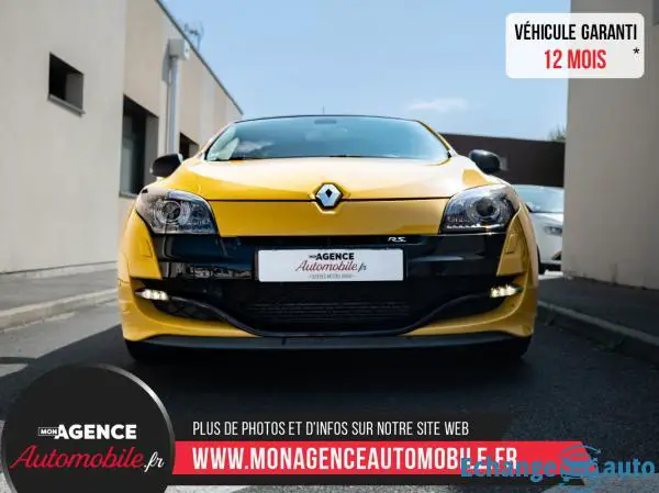 Renault MEGANE 2.0 TURBO 250 CHÂSSIS CUP / RECARO