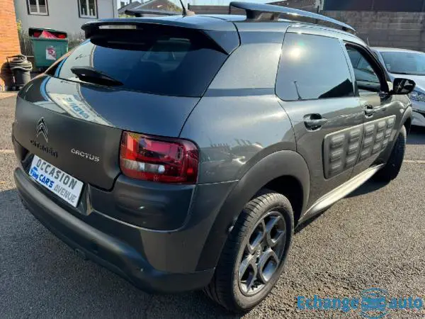 CITROEN C4 CACTUS PureTech 110 SetS Shine