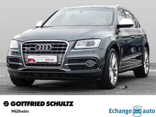 Audi SQ5 competition